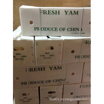 Chinese Fresh Yam zum Exportieren (Dia: 2-3cm)